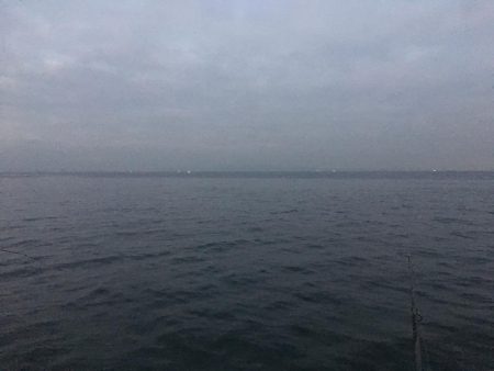 ハマチとメジロ